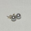 Silver Grey Pearl Stud Earrings